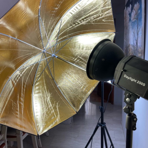 Walimex Pro Daylight 250S Impression L Photography and Video Lighting Set new
