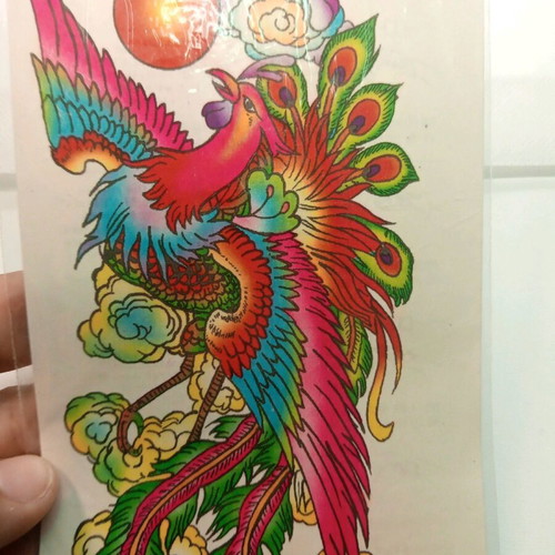Temporary tattoo sticker Phoenix multicolored