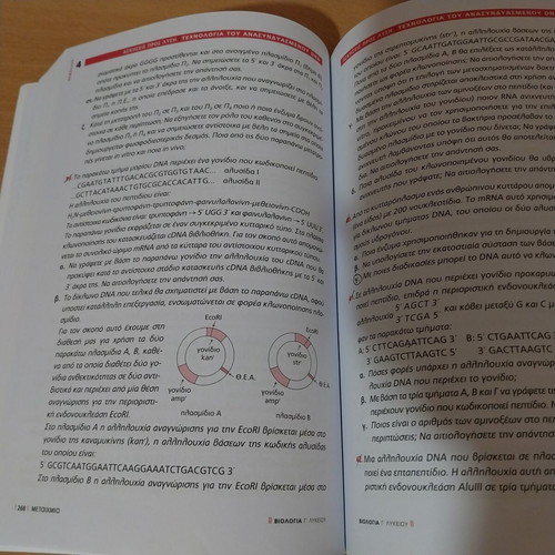 Biology Study Guide for 3rd Grade Lyceum, Volume B, Salamastrakis