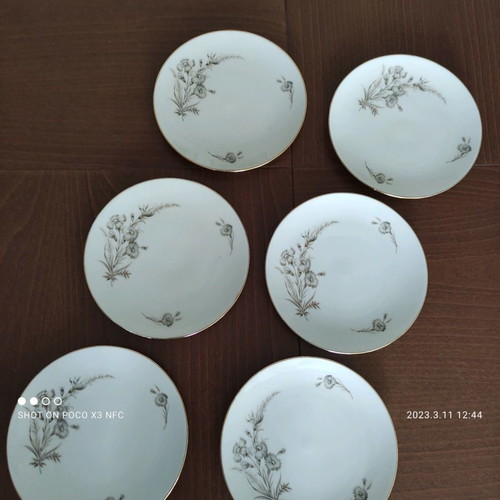 Schumaan German porcelain plates new, set of 6 pieces