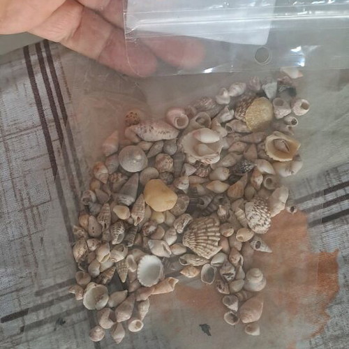 Small seashells like new, 100 grams