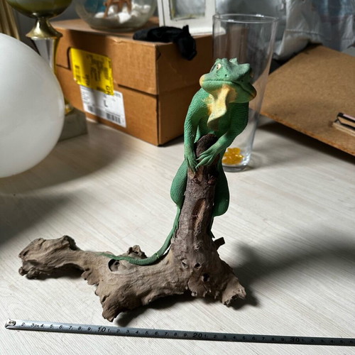 Decorative iguana used with broken tail