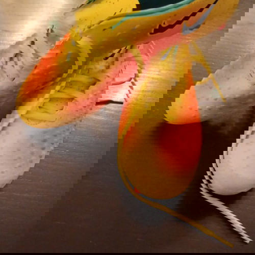 Nike Magista Παιδικά ποδοσφαιρικά παπούτσια σαν καινούργια, μέγεθος 40.5, πολύχρωμα