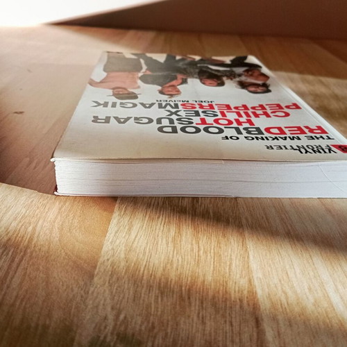 Red Hot Chili Peppers The Making of Blood Sugar Sex Magic book like new, English