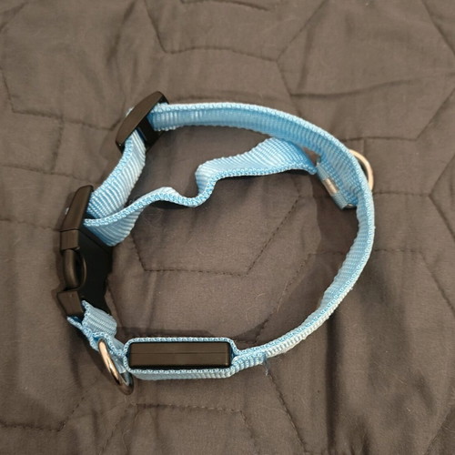 Blue glowing rechargeable dog collar like new