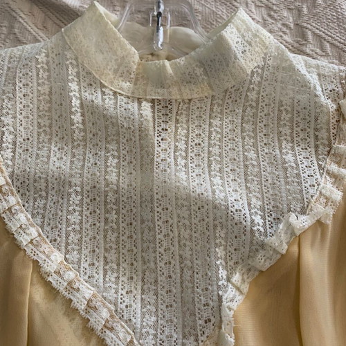 Vinegar see-through blouse with lace like new, beige