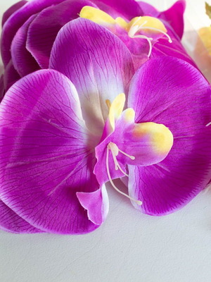 Various decorative flowers new