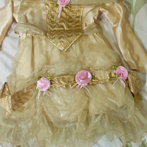 Golden princess carnival costume like new