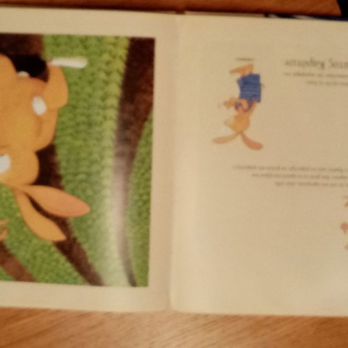 Leonardo Easter Children's Book