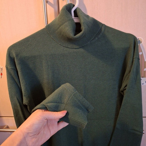 Funky Buddha green cypress turtleneck like new