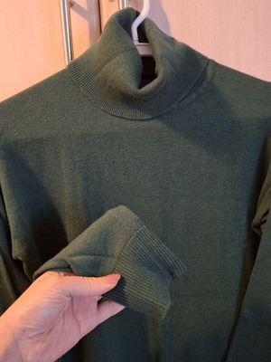 Funky Buddha green cypress turtleneck like new
