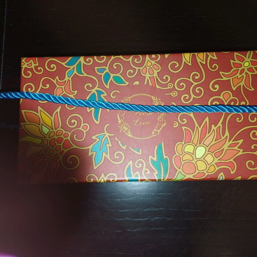 Fresh Line storage box new with blue cord handle