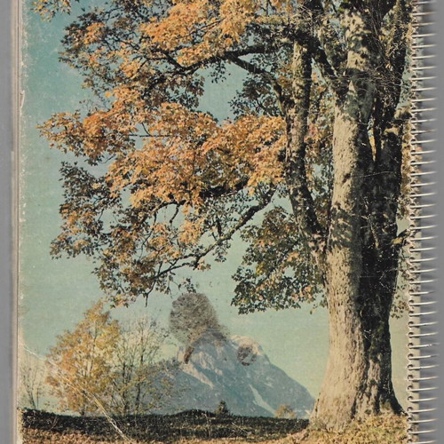 Agenda 1953 spiral-bound used diary with 60 images