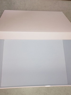 Κουτί οργάνωσης, 29,7 x 21,8 x 12,5 εκ.