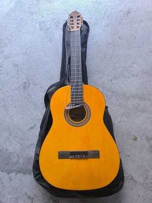Stagg classical guitar with case, nylon strings, 4/4 size
