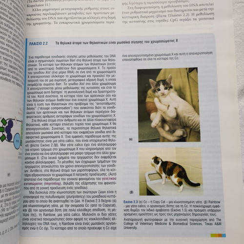 Synthetic Biology Basic Principles book like new, Greek