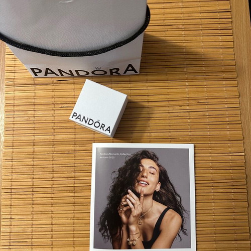 Pandora charm box and bag new