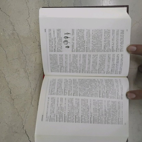 New Dictionary of the Greek Language Orthographic Etymological