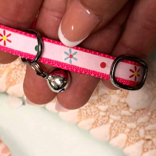 Cat collar new, suitable for all breeds and sizes