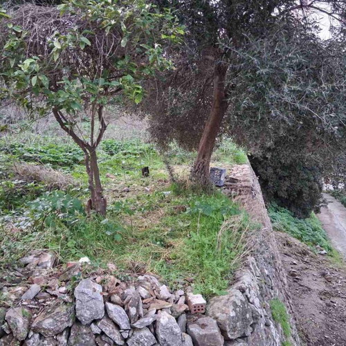 Land 520 sqm buildable plot in Mistegna, Lesvos region