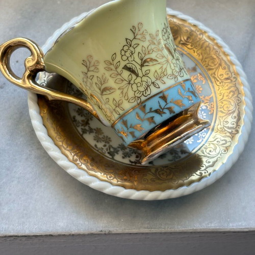 Porcelain vintage cup and saucer Bavaria RW used with floral decoration