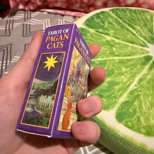 Tarot of Pagan Cats deck like new