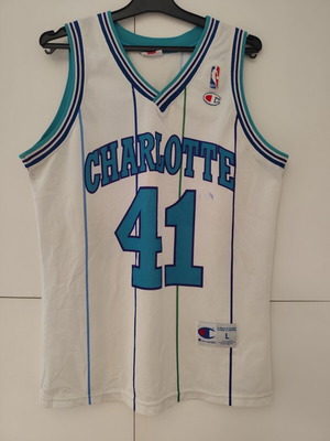 Charlotte Hornets NBA Jersey Glen Rice used, size L