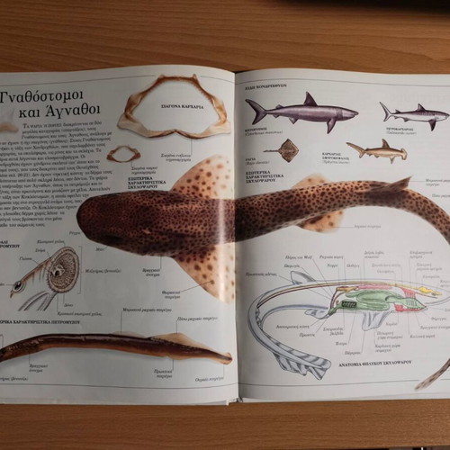 Ta Zoa panoramic animal encyclopedia like new, Greek language
