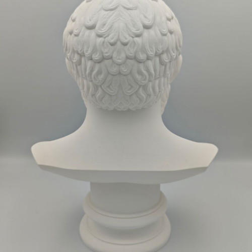 3D Printed Plato Bust new, high-quality decorative piece