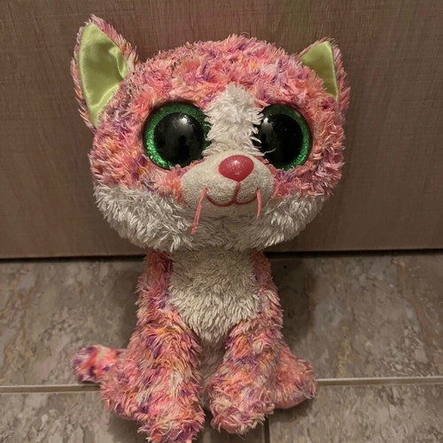 Plush cat used, named Sofie