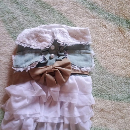 Clothing for small dog new