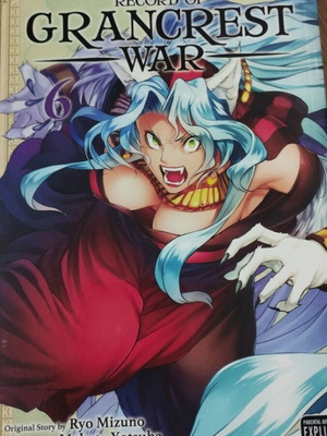 Record of Grancrest War Volume 6 new