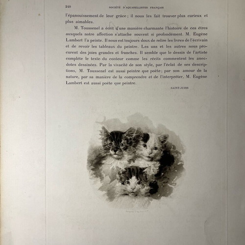 Lithography used with cats by Louis-Eugène Lambert