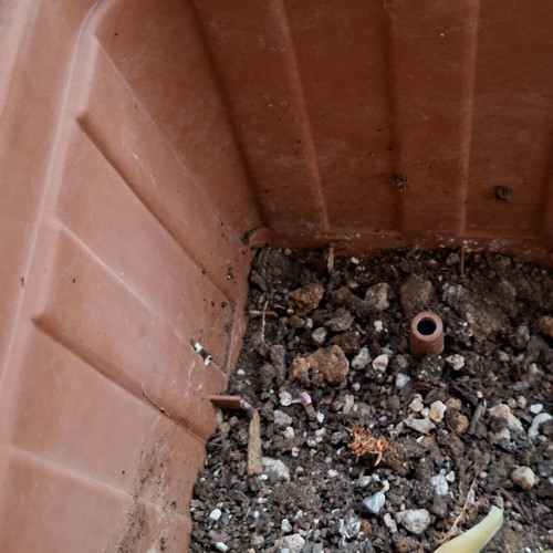 Terracotta planter with metal stand set
