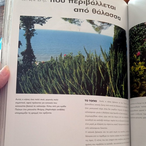 Mediterranean Gardens book on garden architecture and design