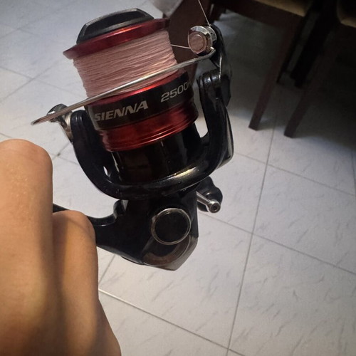 Shimano Sienna 2500 fishing reel with 100m line new