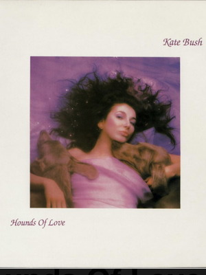 Hounds Of Love Kate Bush vinyl LP album 1985 like new