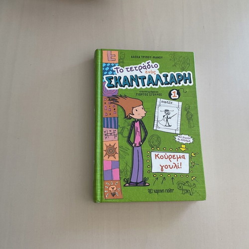 The Notebook of a Scoundrel children's book like new