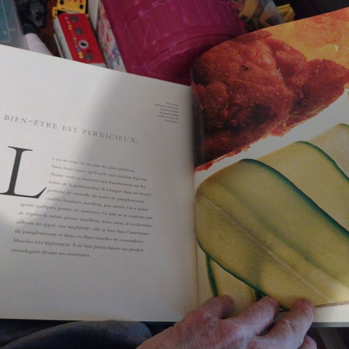 French Gastronomy Book new