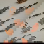  Πίπες, Γερμανικό λεύκωμα