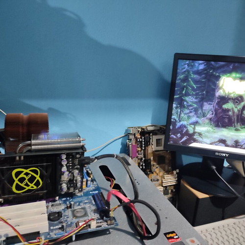 XFX 7950GT 512MB DDR3 PCIe graphics card used