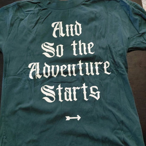 Zara T Shirt 11-12 Years 152 cm Like New, Green