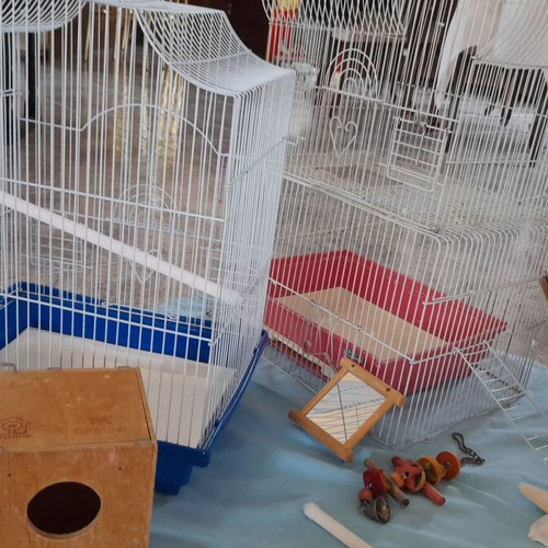 Bird cages like new with accessories and hamster gift set