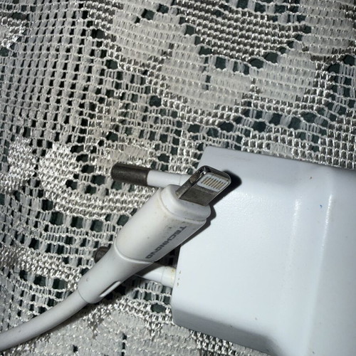 iPhone charger