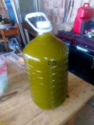 Pure Cretan olive oil acidity 0.5, harvest 2025