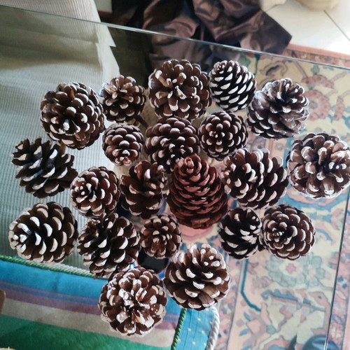 Decorative pine cones like new, pack of 21 pieces