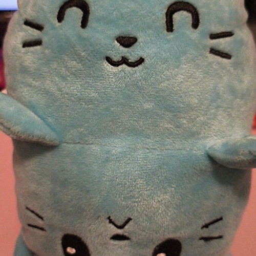Plush Cat 2 Sides Like New