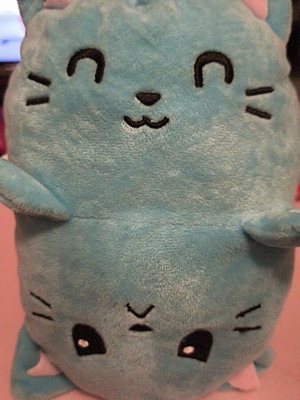Plush Cat 2 Sides Like New