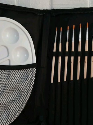Set of paintbrushes in case unused