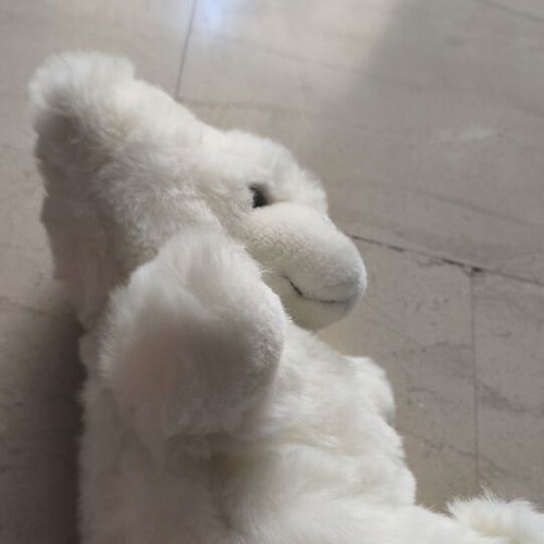 White plush teddy bear used, 30cm height, vintage style